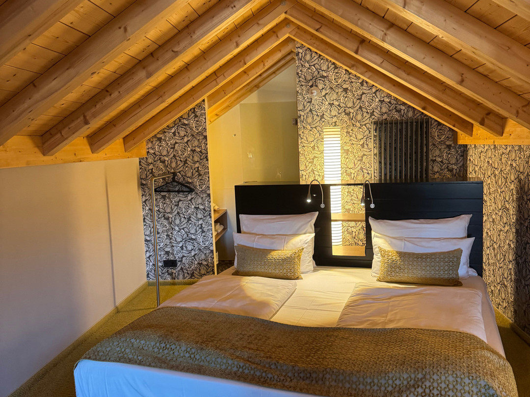 Das Freiberg Romantik Hotel主图