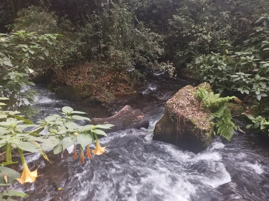 Parque Nacional Barranca del Cupatitzio-Uruapan必去景点