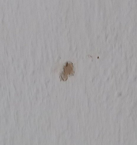 Seehotel Schorfheide-客卧