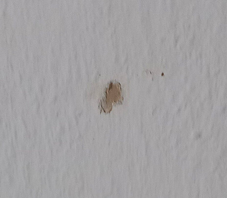 昂格明德酒店住宿-Seehotel Schorfheide