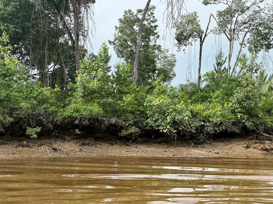 Brunei River-斯里巴加湾必去景点