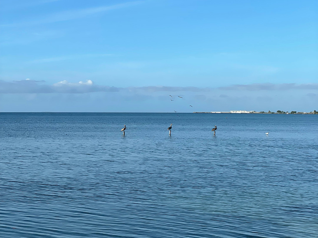 Jurutungo Farm-Florida必去景点