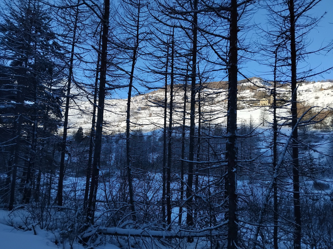 Escursioni Motoslitte-Sauze di Cesana必去景点