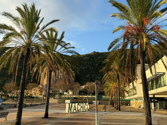 Haliotis Madeira-马希科必去景点