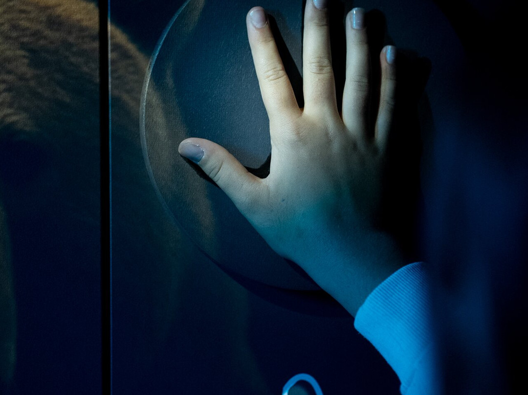 Polsko-Czeskie Interaktywne Muzeum Ziemi Kłodzkiej