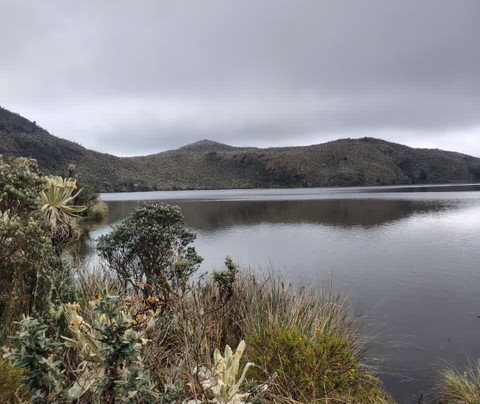 Reserva Ecologica El Ángel-El Angel必去景点