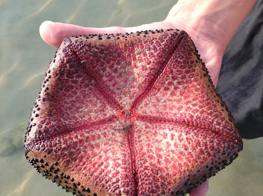 Sirinat National Park-奈阳必去景点