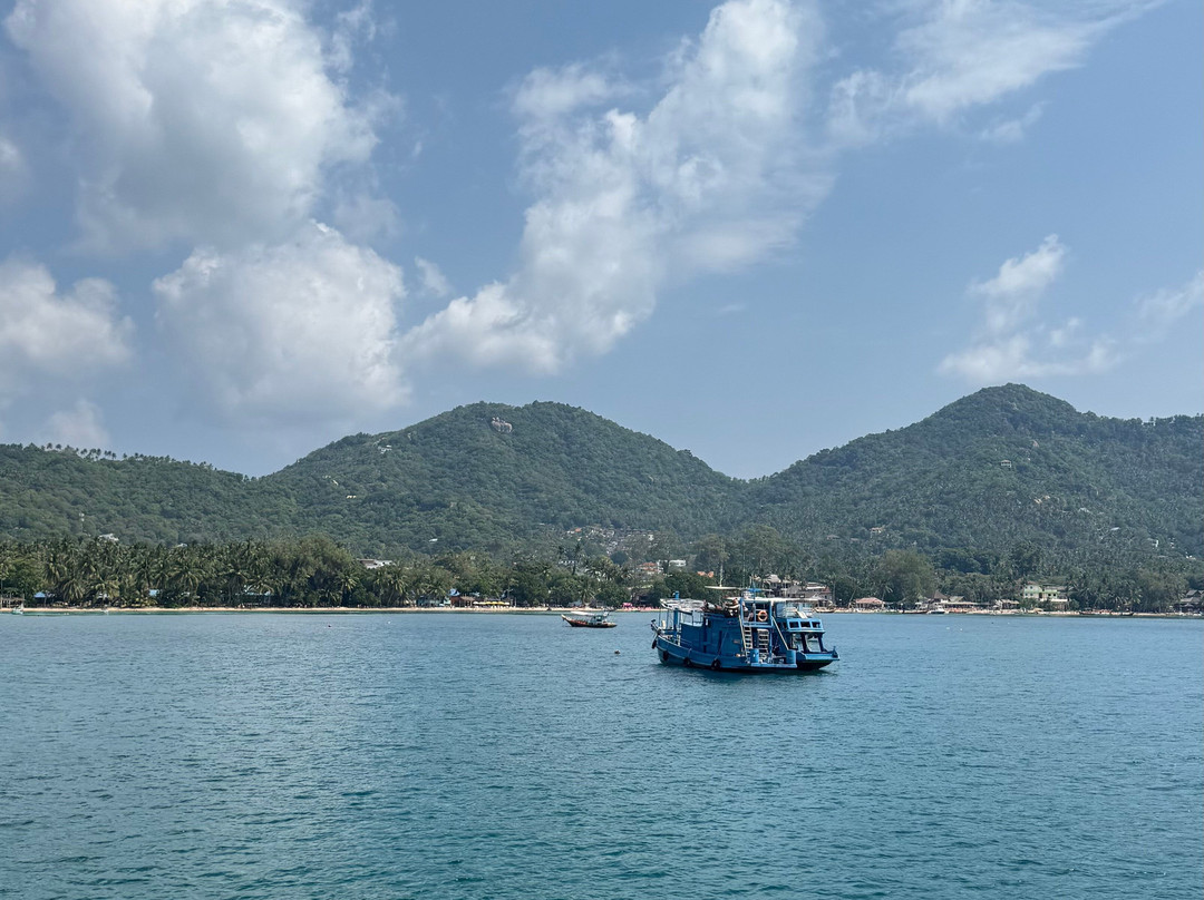 We Travel Snorkeling Adventures-涛岛必去景点