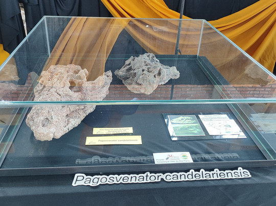 Museum Aristides Carlos Rodrigues-Candelaria必去景点