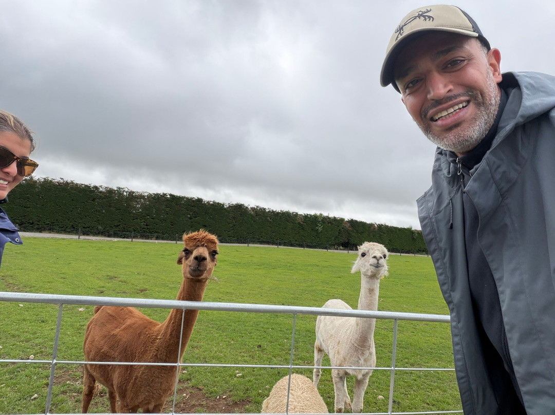 Woodstone Farm, Te Anau, New Zealand-蒂阿瑙必去景点