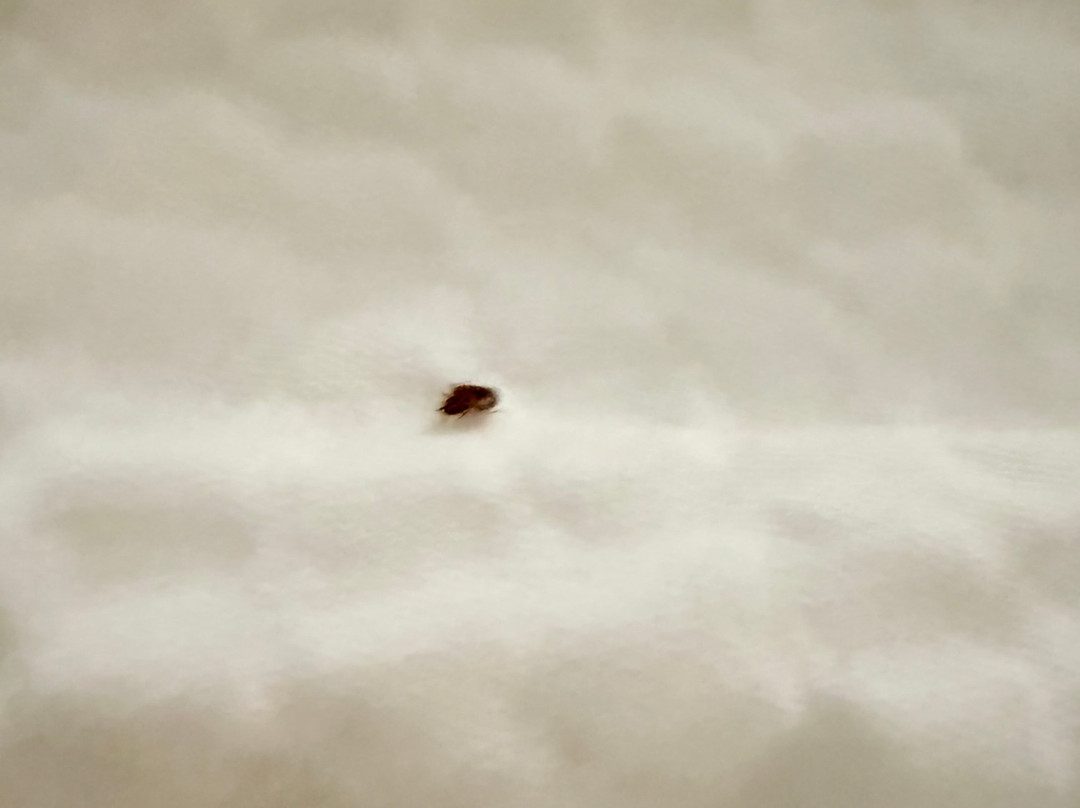 Holiday Inn Express & Suites Vicksburg By IHG主图