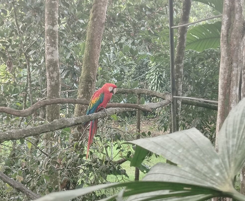 BioParque Yanacocha-Puyo必去景点