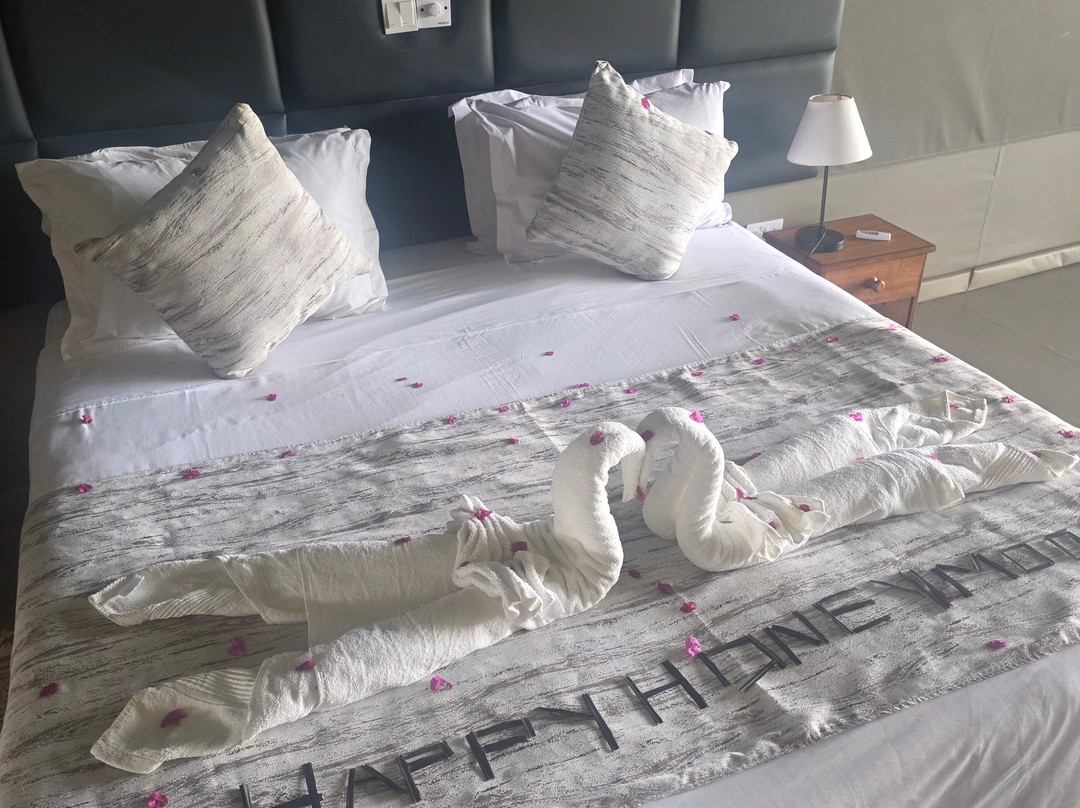 Imara Africa Safaris-内罗毕必去景点