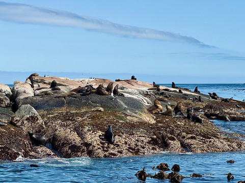 FS Tours - Day Tours-Kenilworth必去景点