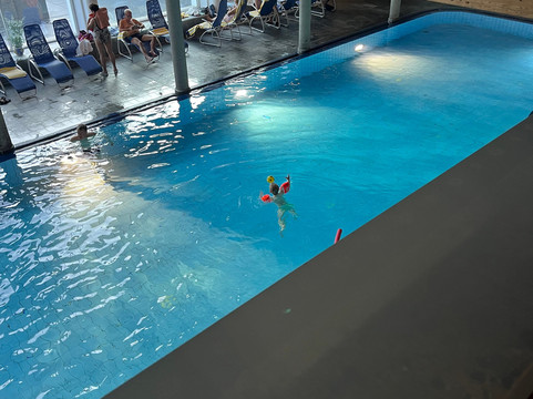 Hotel Edelweiss主图