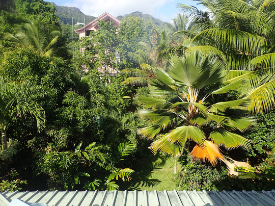 Petit Baie Chalets主图