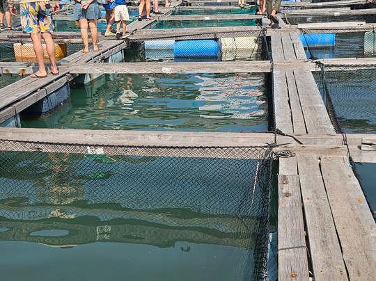 Cat Ba Green Trail Travel-Cat Ba Town必去景点