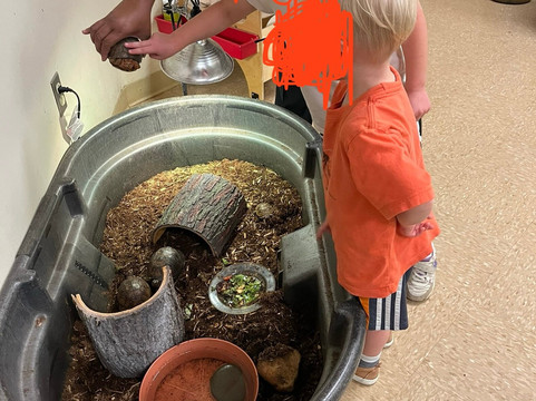 密西西比州自然科学博物馆-杰克逊必去景点