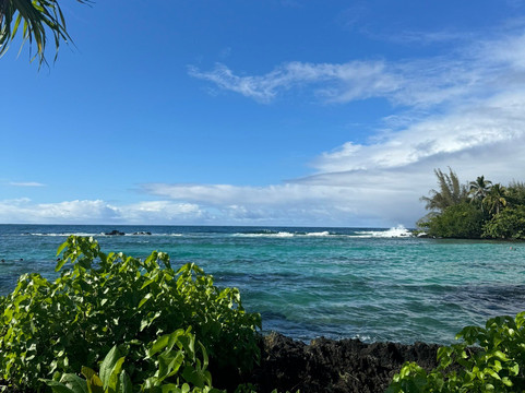 Carlsmith Beach Park-希洛必去景点