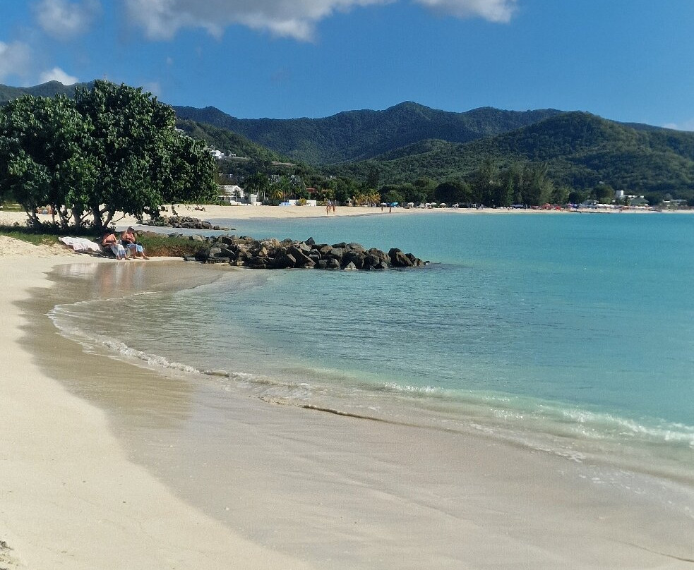 Grand Anse d'Arlet-Les Anses d'Arlet必去景点