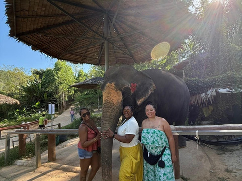 Phuket Elephant Care-奈通必去景点