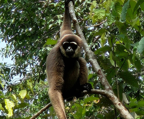 Sister Tour-Pangkalan Bun必去景点