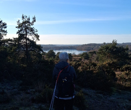Frensham Little Pond-Frensham必去景点
