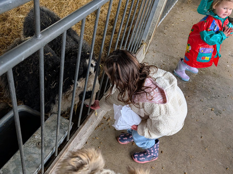 Marsh Farm Animal Adventure Park-Woodham Ferrers必去景点