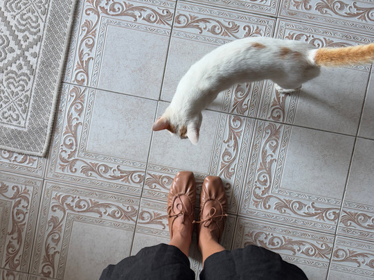 Zerof Guest House主图