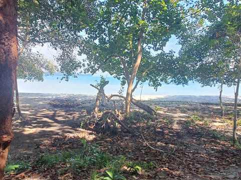 The Last Point主图