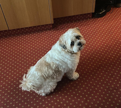 Hotel Edelweiss主图