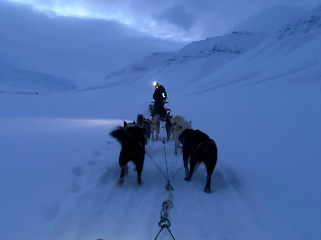 Green Dog Svalbard-朗伊尔城必去景点