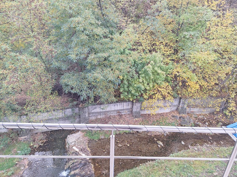 Pensiunea Roza主图