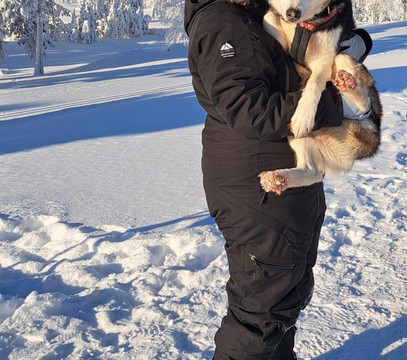 Adventure Dreams Husky Dogsledding-Idre必去景点