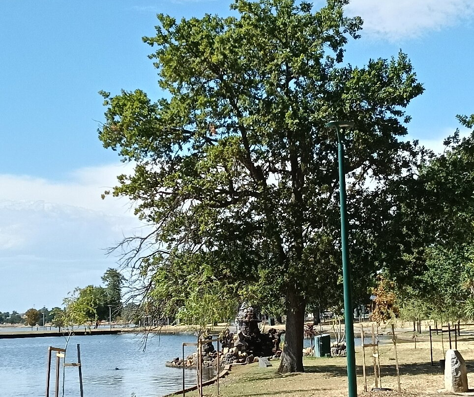 Lake Wendouree-巴拉瑞特必去景点