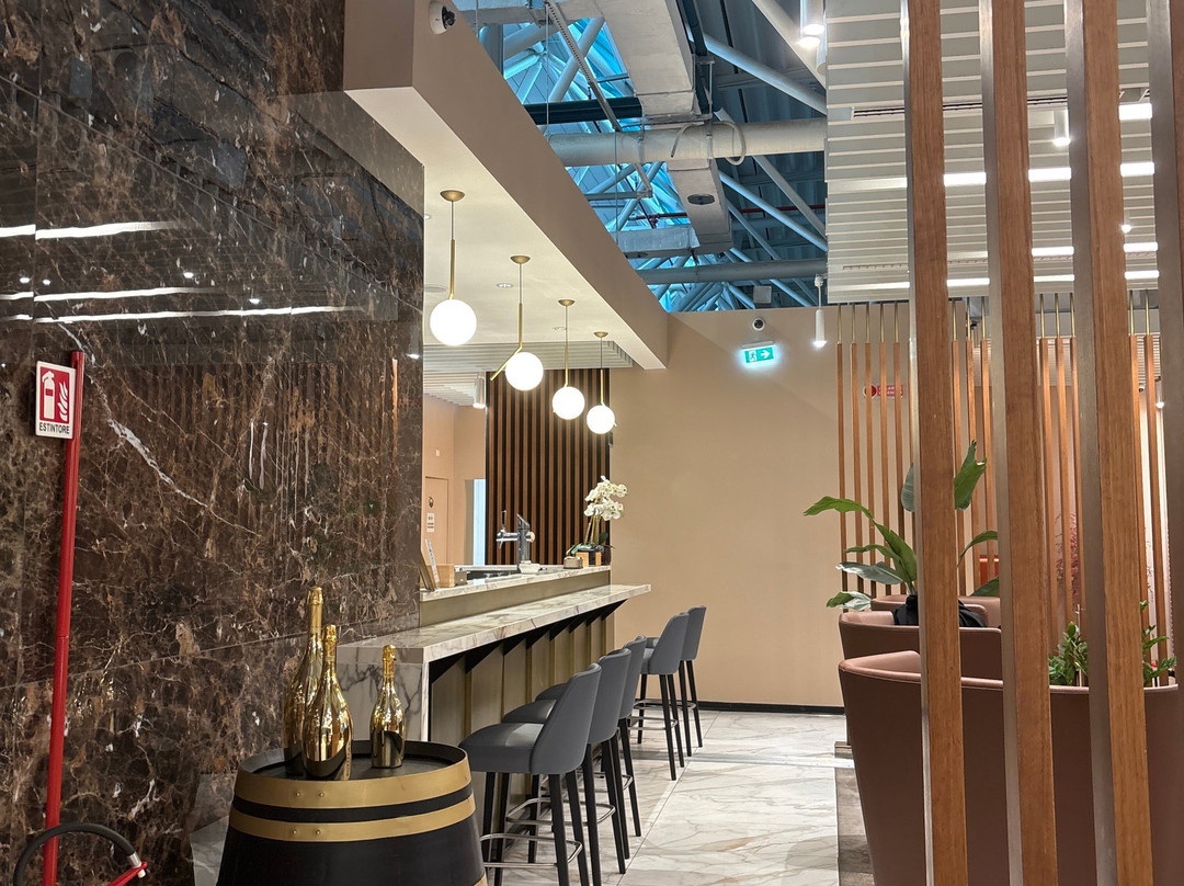 Plaza Premium Lounge (Schengen Area Departures Terminal 1)-菲乌米奇诺必去景点