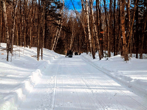 Northern Extremes Snowmobiling-巴特利特必去景点