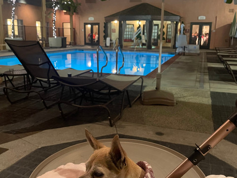 艾尔斯酒店科斯塔梅萨/纽波特海滩主图