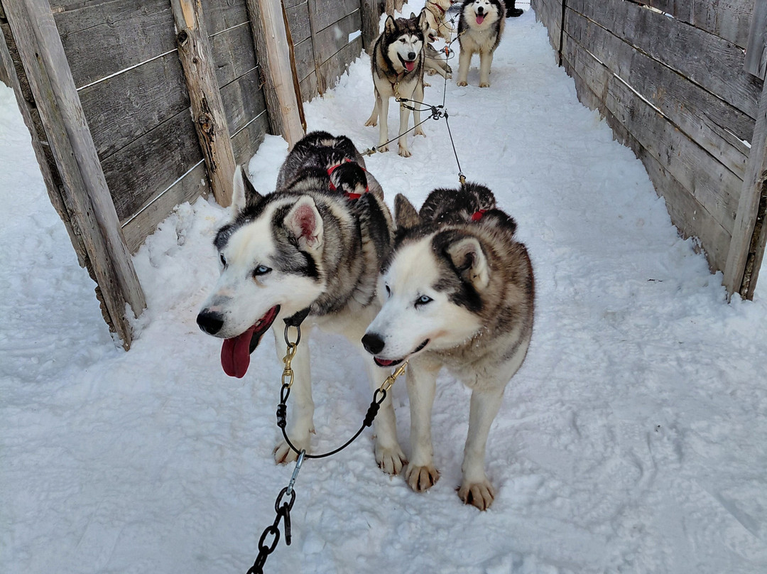 Aventures Daaquam 4 Saisons-Saint-Just-de-Bretenieres必去景点