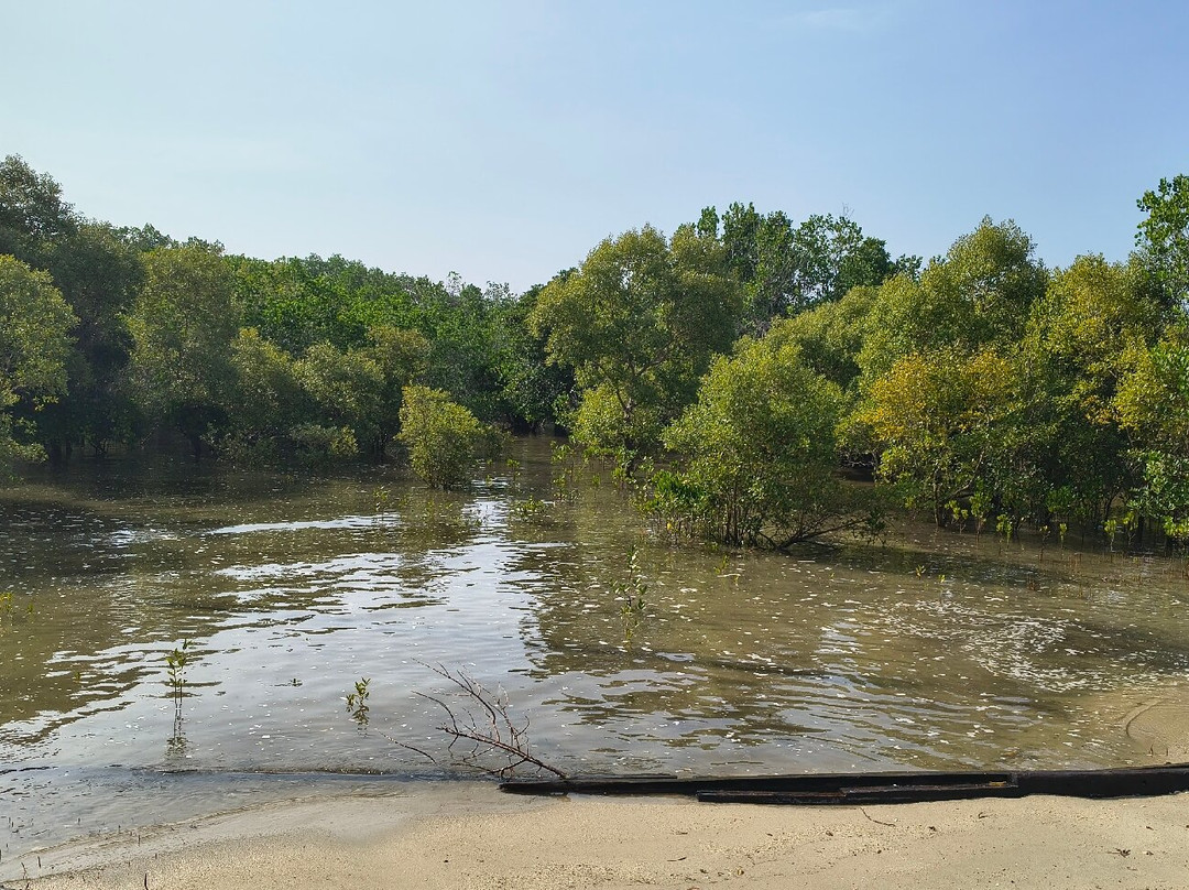 2 Winds Paddle Sports-桑给巴尔市必去景点
