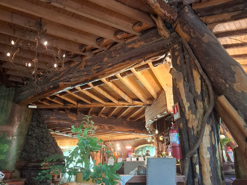 Kimun Tours-Panguipulli必去景点