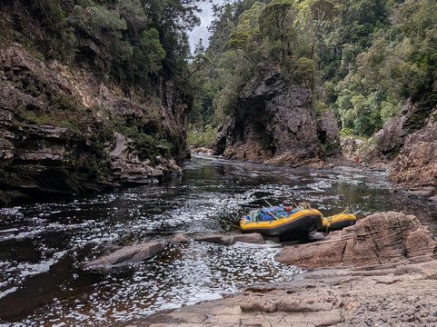 Franklin River Rafting-霍巴特必去景点