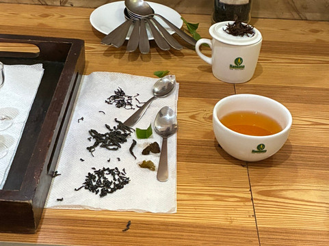 Nandana Tea Factory-Akuressa必去景点