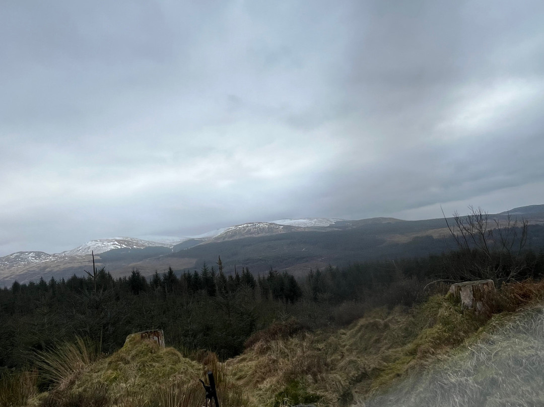 Stables Guest House主图