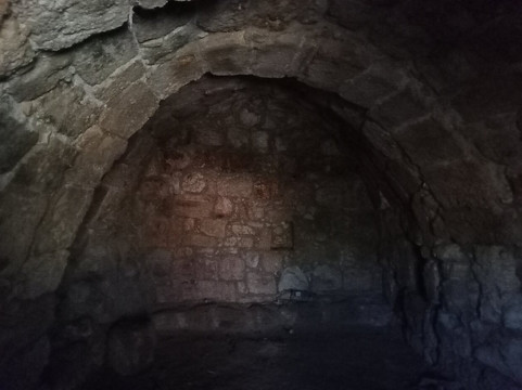 Yatir Forest-Arad必去景点