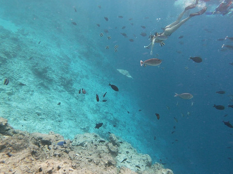 Blue Horizon II-Kaadedhdhoo必去景点