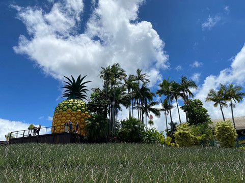 The Big Pineapple-Nambour必去景点