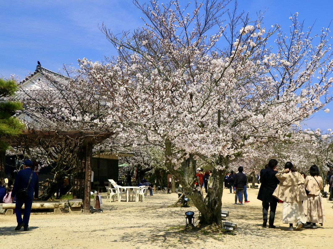 松山城-松山市必去景点