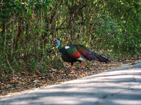 DANTA TOURS-Xpujil Town必去景点