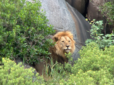 Watatu Travel-阿鲁沙必去景点